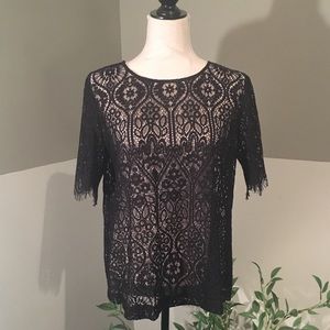 LOFT Black Lace Blouse